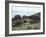 The Adlahuasi or the Temple of the Virgins of the Sun on the Island of the Moon, Lake Titicaca-null-Framed Giclee Print