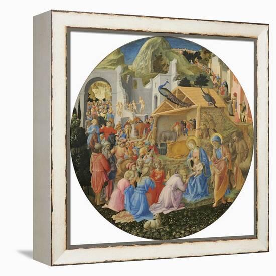 The Adoration of the Magi, C.1440-60-Fra Angelico-Framed Premier Image Canvas