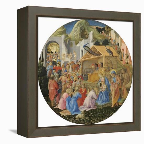 The Adoration of the Magi, C.1440-60-Fra Angelico-Framed Premier Image Canvas