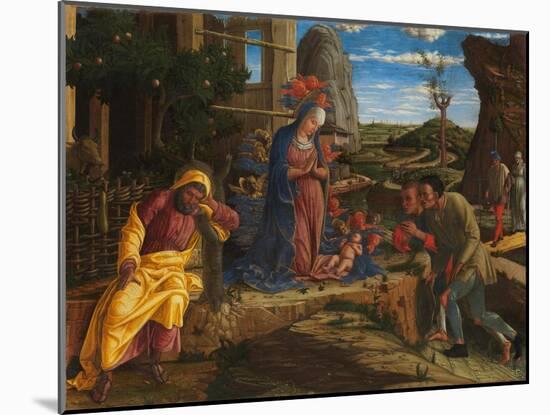 The Adoration of the Shepherds, c.1450-Andrea Mantegna-Mounted Giclee Print