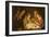 The Adoration of the Shepherds, c.1635-1637-Matthias Stomer-Framed Giclee Print