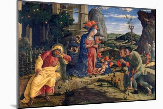 The Adoration of the Shepherds, C1450-Andrea Mantegna-Mounted Giclee Print