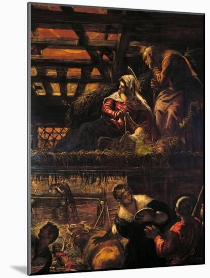 The Adoration of the Shepherds (Nativity)-Jacopo Robusti Tintoretto-Mounted Giclee Print