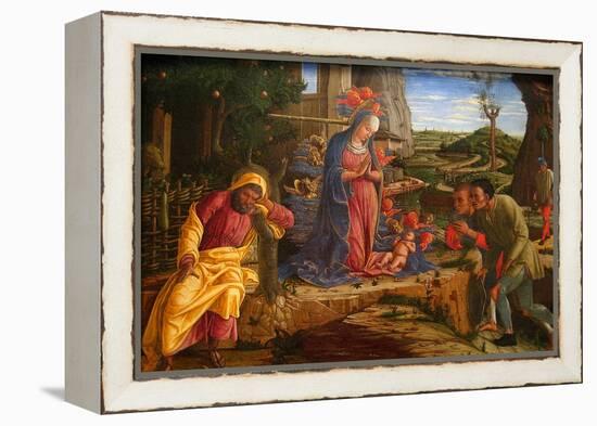 The Adoration of the Shepherds, Shortly after 1451-Andrea Mantegna-Framed Stretched Canvas