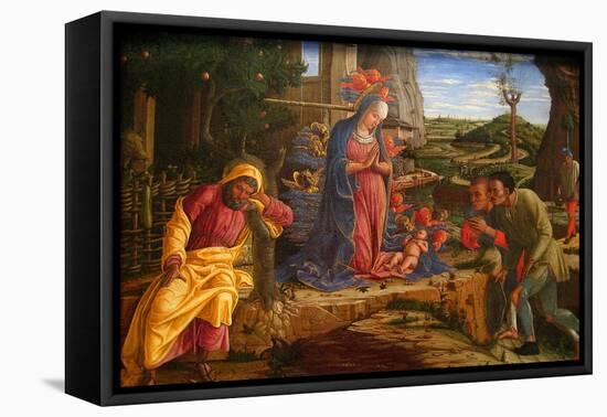 The Adoration of the Shepherds, Shortly after 1451-Andrea Mantegna-Framed Stretched Canvas
