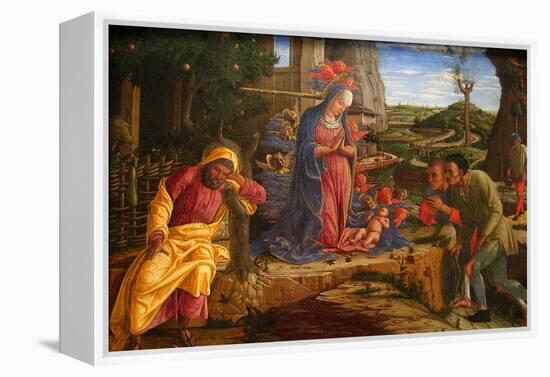 The Adoration of the Shepherds, Shortly after 1451-Andrea Mantegna-Framed Stretched Canvas