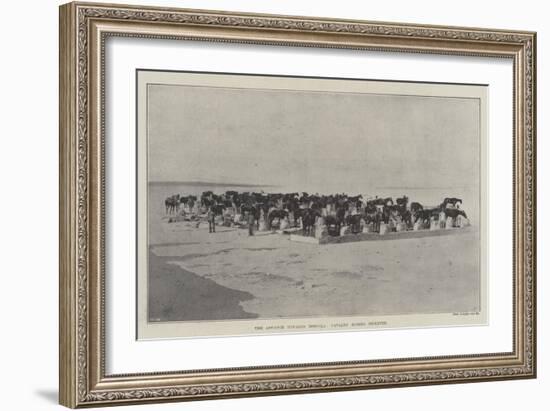 The Advance Towards Dongola, Cavalry Horses Picketed-null-Framed Giclee Print