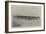 The Advance Towards Dongola, Cavalry Horses Picketed-null-Framed Giclee Print