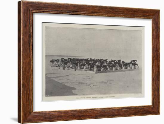 The Advance Towards Dongola, Cavalry Horses Picketed-null-Framed Giclee Print