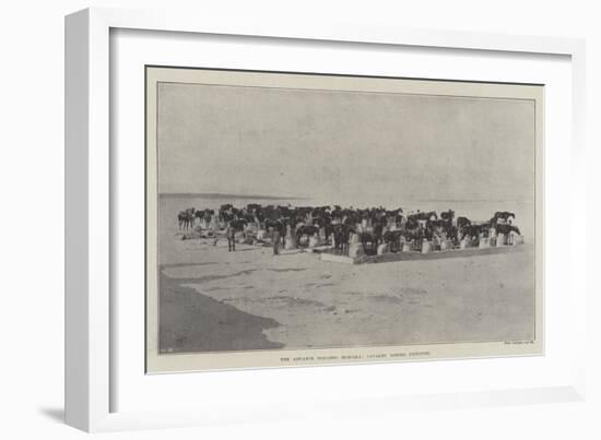 The Advance Towards Dongola, Cavalry Horses Picketed-null-Framed Giclee Print