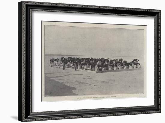 The Advance Towards Dongola, Cavalry Horses Picketed-null-Framed Giclee Print