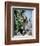 The Adventures of Robin Hood-null-Framed Photo