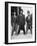 The African American Teenagers with Tuxedos and Top Hats During the August 1943 Riots in Harlem-null-Framed Photo