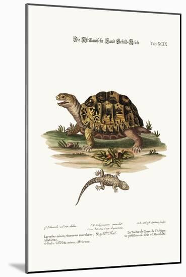 The African Land-Tortoise. the Small Spotted Grey Lizard, 1749-73-George Edwards-Mounted Giclee Print