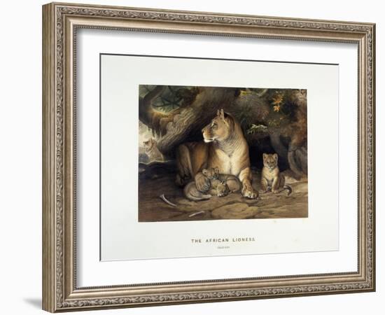 The African Lioness, C.1880-1883-null-Framed Giclee Print