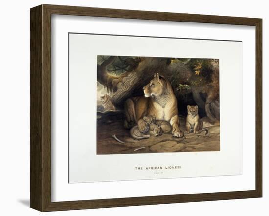 The African Lioness, C.1880-1883-null-Framed Giclee Print