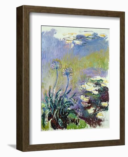 The Agapanthus, 1914-17-Claude Monet-Framed Giclee Print