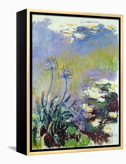 The Agapanthus, 1914-17-Claude Monet-Framed Premier Image Canvas