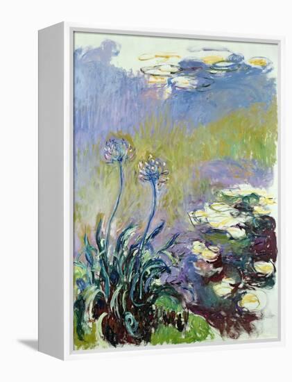 The Agapanthus, 1914-17-Claude Monet-Framed Premier Image Canvas