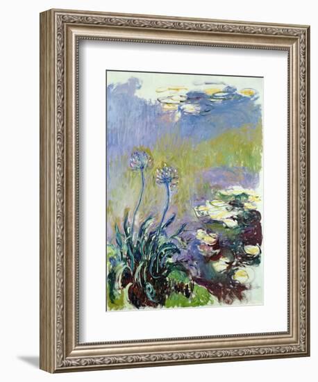 The Agapanthus, 1914-17-Claude Monet-Framed Premium Giclee Print