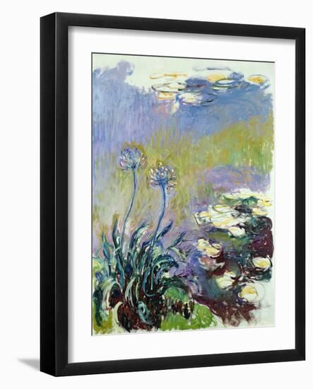 The Agapanthus, 1914-17-Claude Monet-Framed Giclee Print