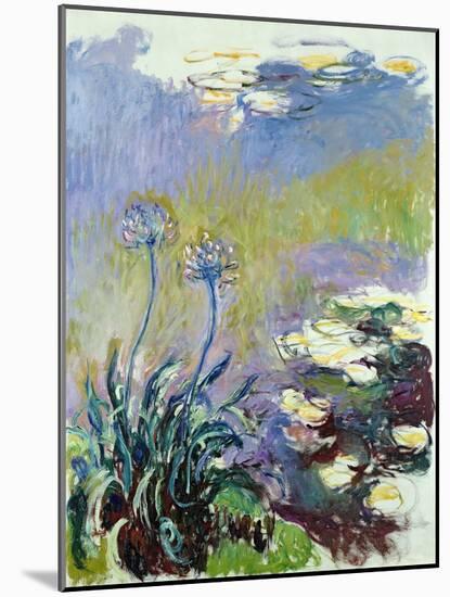 The Agapanthus, 1914-17-Claude Monet-Mounted Giclee Print