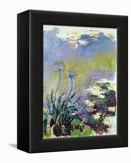 The Agapanthus, 1914-17-Claude Monet-Framed Premier Image Canvas