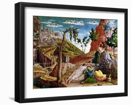 The Agony in the Garden, Left Hand Predella Panel from the Altarpiece of St. Zeno of Verona 1456-60-Andrea Mantegna-Framed Giclee Print