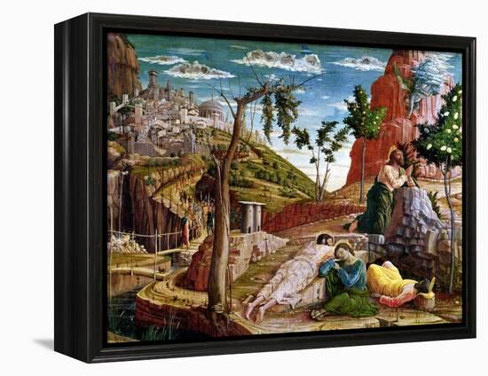 The Agony in the Garden, Left Hand Predella Panel from the Altarpiece of St. Zeno of Verona 1456-60-Andrea Mantegna-Framed Premier Image Canvas