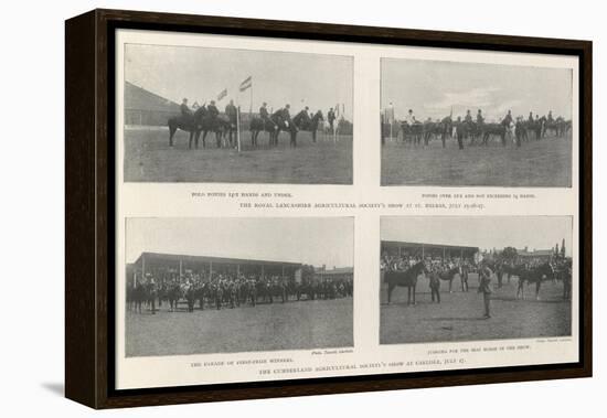 The Agricultural Society's Show-null-Framed Premier Image Canvas