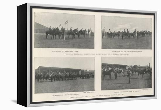 The Agricultural Society's Show-null-Framed Premier Image Canvas