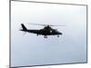 The Agusta A-109 Helicopter of the Belgian Army in Flight-Stocktrek Images-Mounted Photographic Print