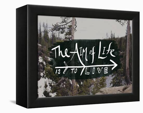 The Aim of Life-Leah Flores-Framed Premier Image Canvas