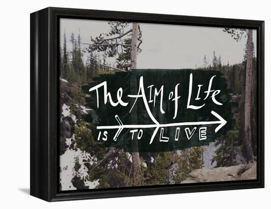 The Aim of Life-Leah Flores-Framed Premier Image Canvas