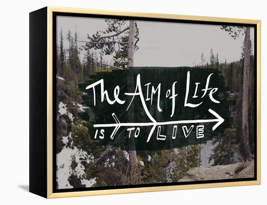 The Aim of Life-Leah Flores-Framed Premier Image Canvas