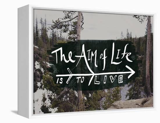 The Aim of Life-Leah Flores-Framed Premier Image Canvas