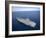 The Aircraft Carrier USS Carl Vinson in the Pacific Ocean-Stocktrek Images-Framed Photographic Print