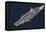 The Aircraft Carrier USS Dwight D. Eisenhower-null-Framed Premier Image Canvas