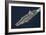 The Aircraft Carrier USS Dwight D. Eisenhower-null-Framed Photographic Print