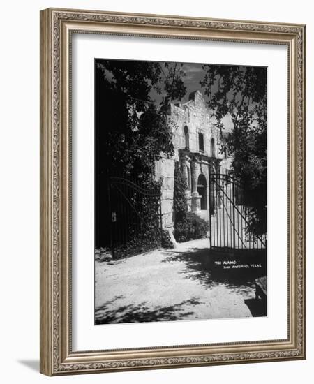 The Alamo-null-Framed Photographic Print