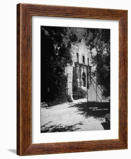 The Alamo-null-Framed Photographic Print