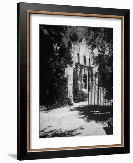 The Alamo-null-Framed Photographic Print