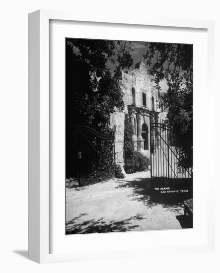 The Alamo-null-Framed Photographic Print