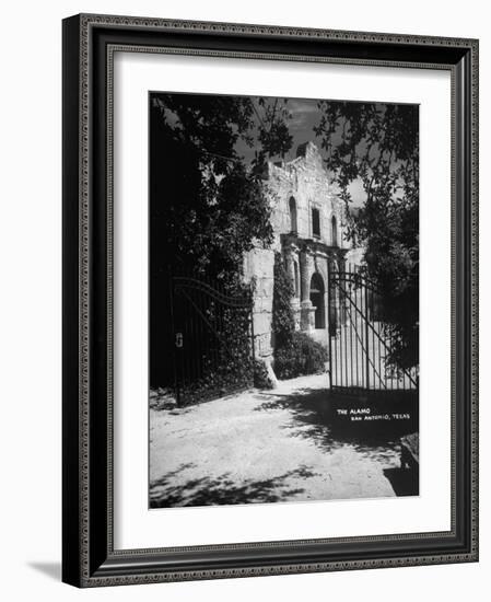 The Alamo-null-Framed Photographic Print