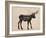 The Alaskan Bull Moose-Davies Babies-Framed Art Print