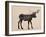 The Alaskan Bull Moose-Davies Babies-Framed Art Print