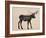 The Alaskan Bull Moose-Davies Babies-Framed Art Print