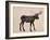 The Alaskan Bull Moose-Davies Babies-Framed Art Print