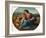 'The Alba Madonna', 1510-Raphael-Framed Giclee Print