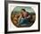 'The Alba Madonna', 1510-Raphael-Framed Giclee Print